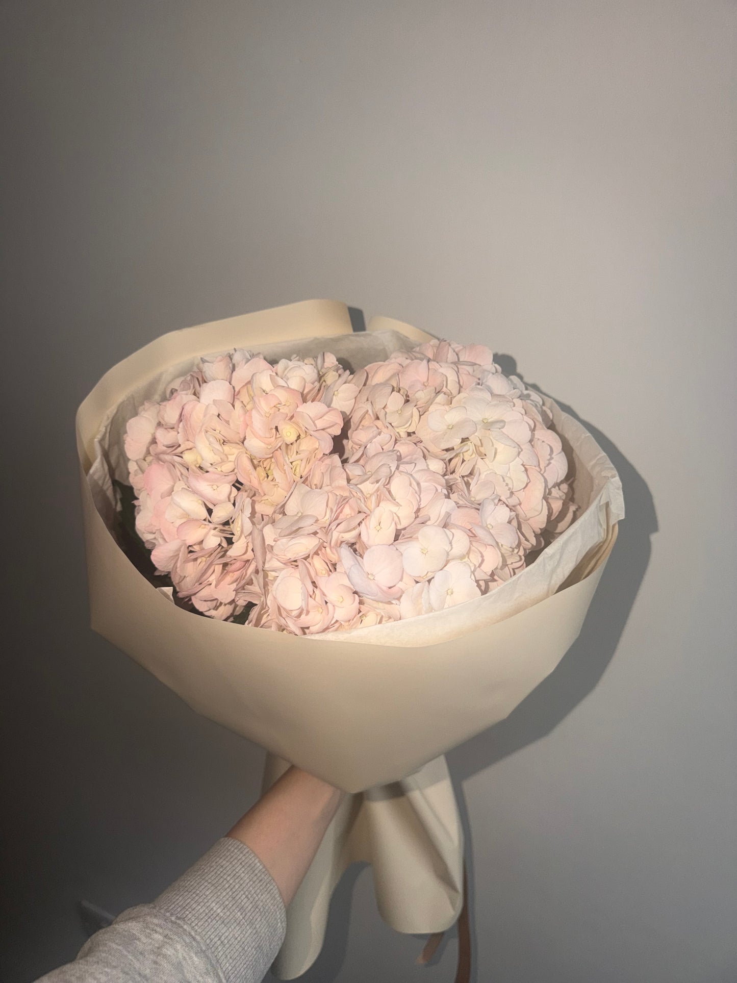 Bouquet of hydrangeas in ivory packaging