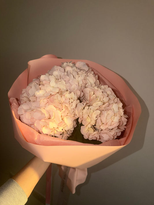 Bouquet of hydrangeas in pink packaging
