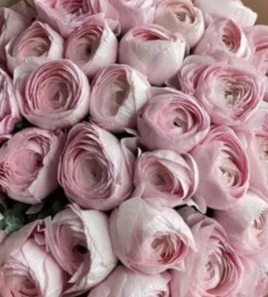 Bouquet of 50 peony roses (ranunculus)