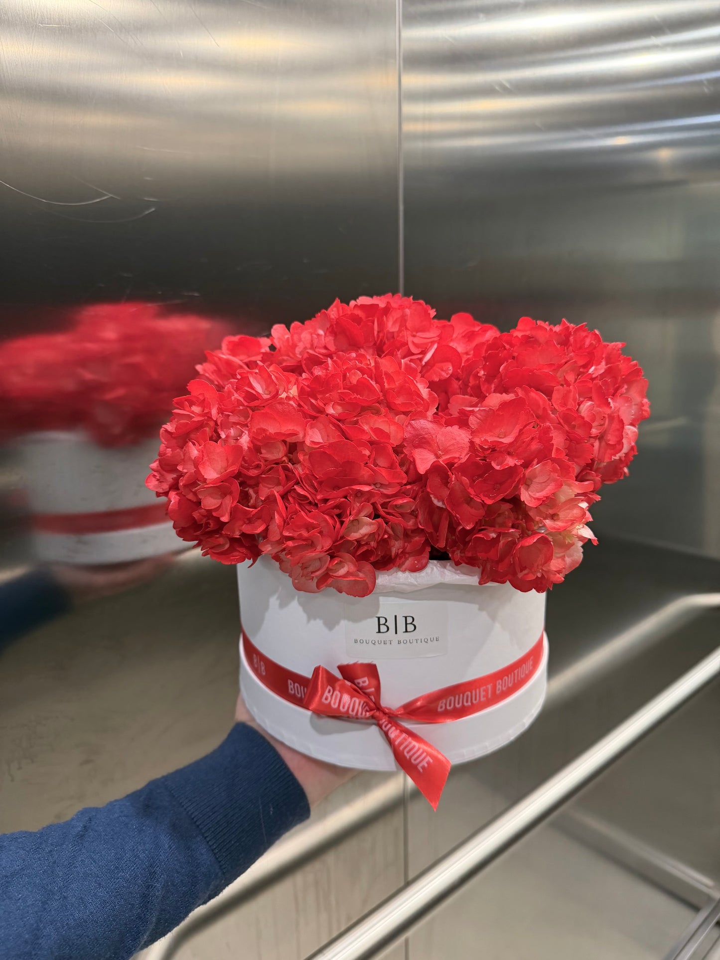 Box of red-vine hydrangeas