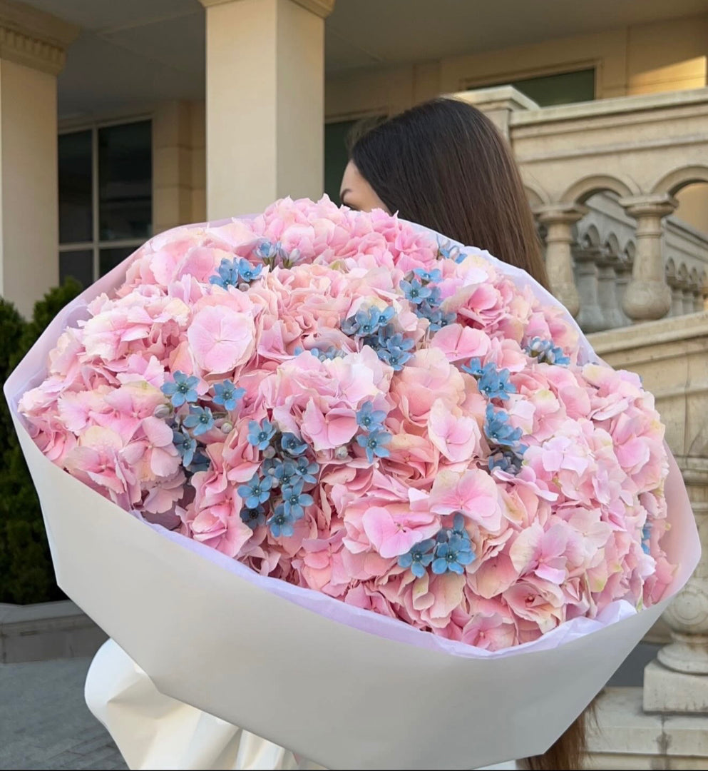 Hydrangea & Oxypetalum Bouquet