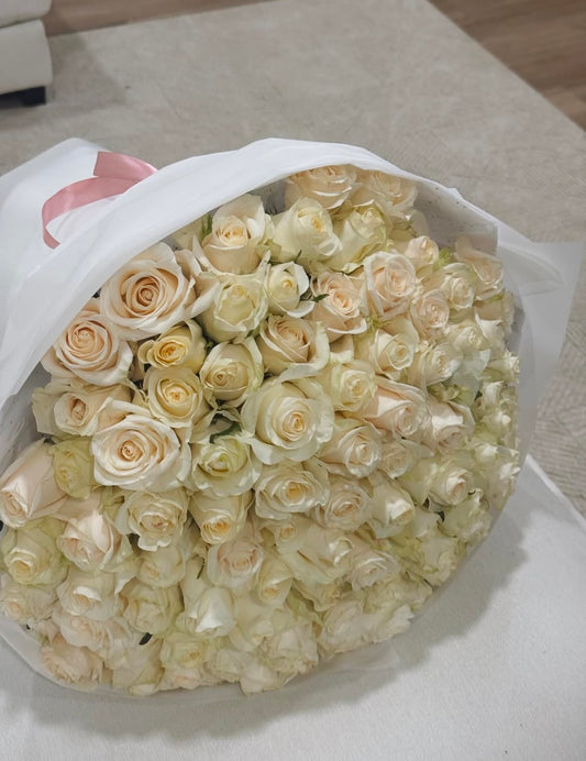 100 White Rose