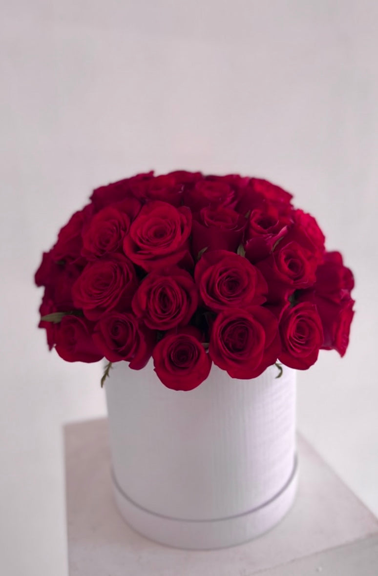 Raspberry-red roses in a white medium box (raspberry hue)