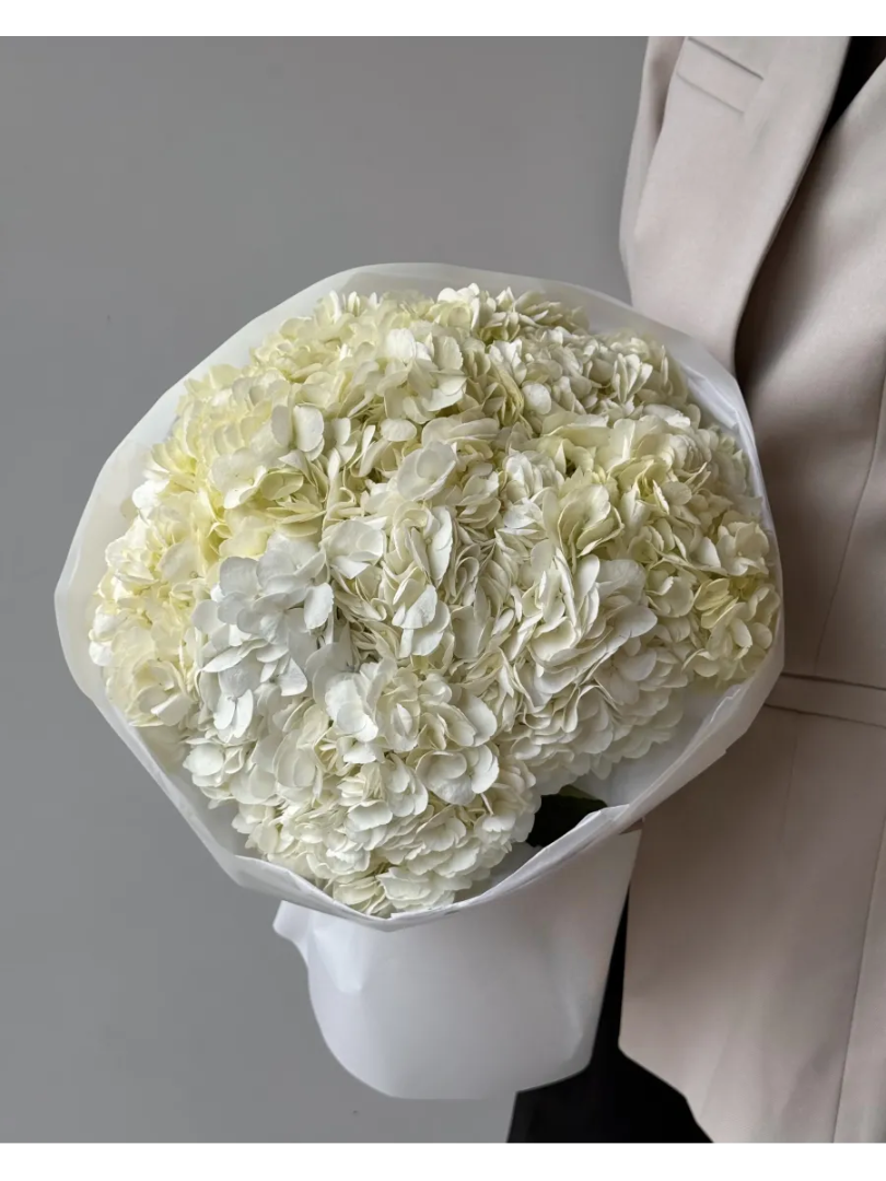 Bouquet of 15 white hydrangeas