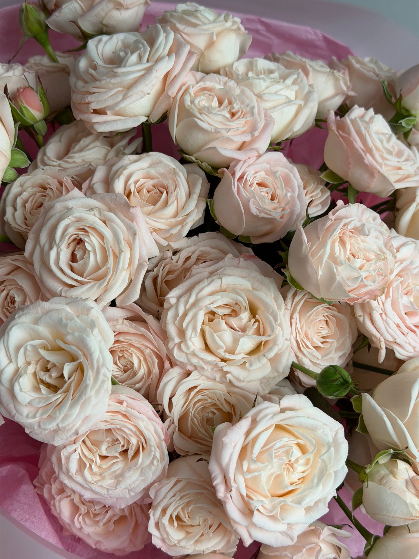 Pale Pink Spray Roses Bouquet | LAST ONE | Ready for pickup/delivery now 🚚