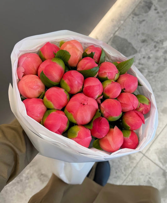 Fresh coral peonies arranged in a soft floral bouquet