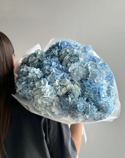 Bouquet of 20 blue hydrangeas
