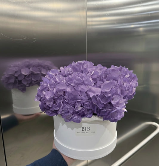 Box of lilac hydrangeas | Women’s Day Flower Bouquet