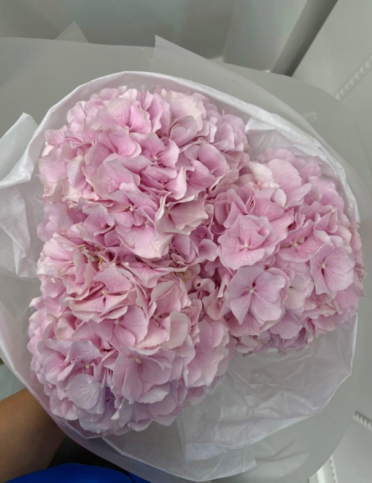 Pink Hydrangea Bouquet