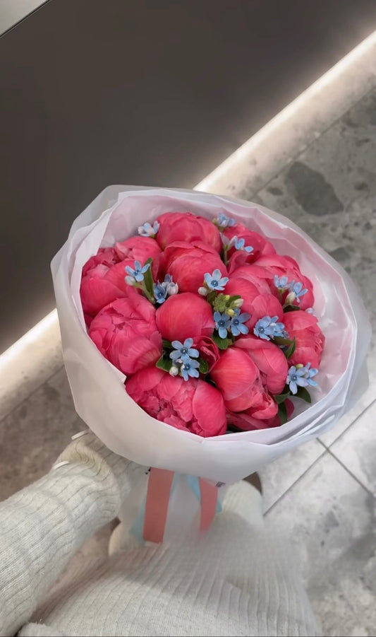 Coral peony and oxypetalum bouquet with fresh flowers in Salford