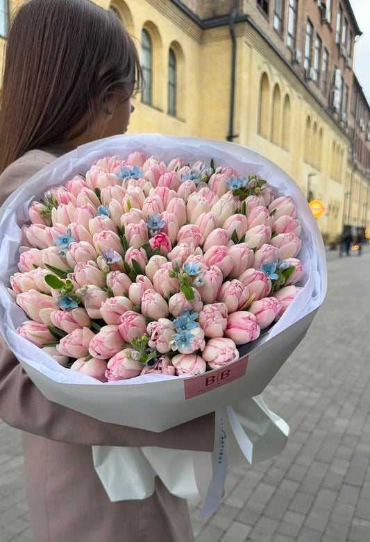A bouquet of 80 soft pink tulips