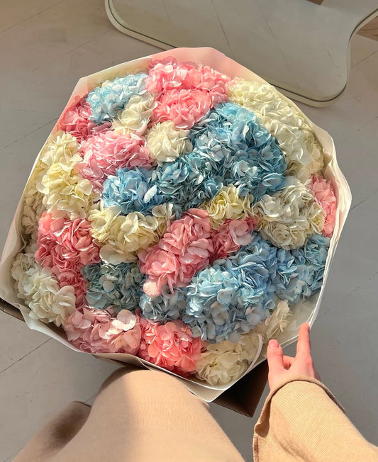 A bouquet of 35 hydrangeas