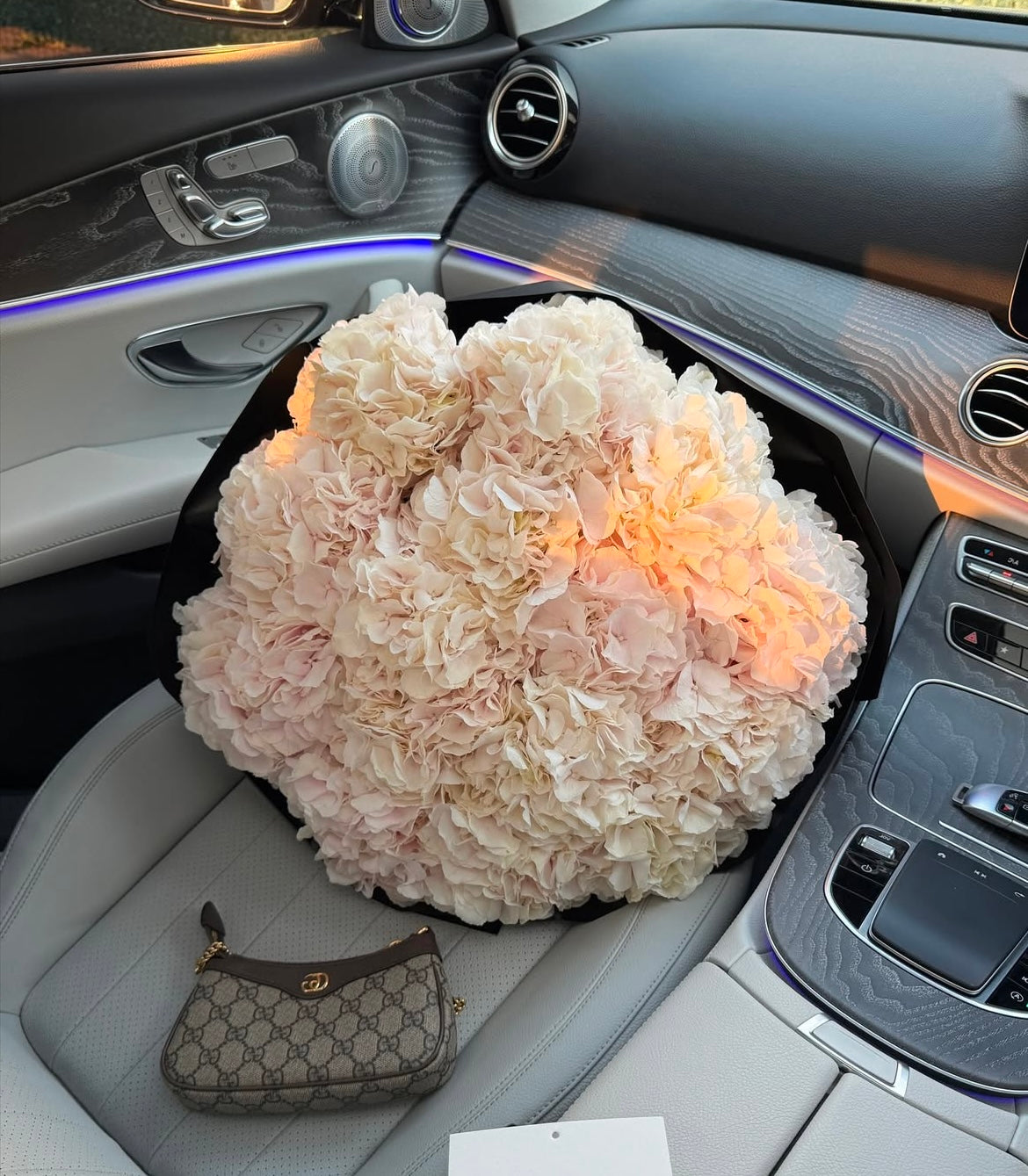 A bouquet of 15 hydrangeas (the shade may vary from white to soft pink)