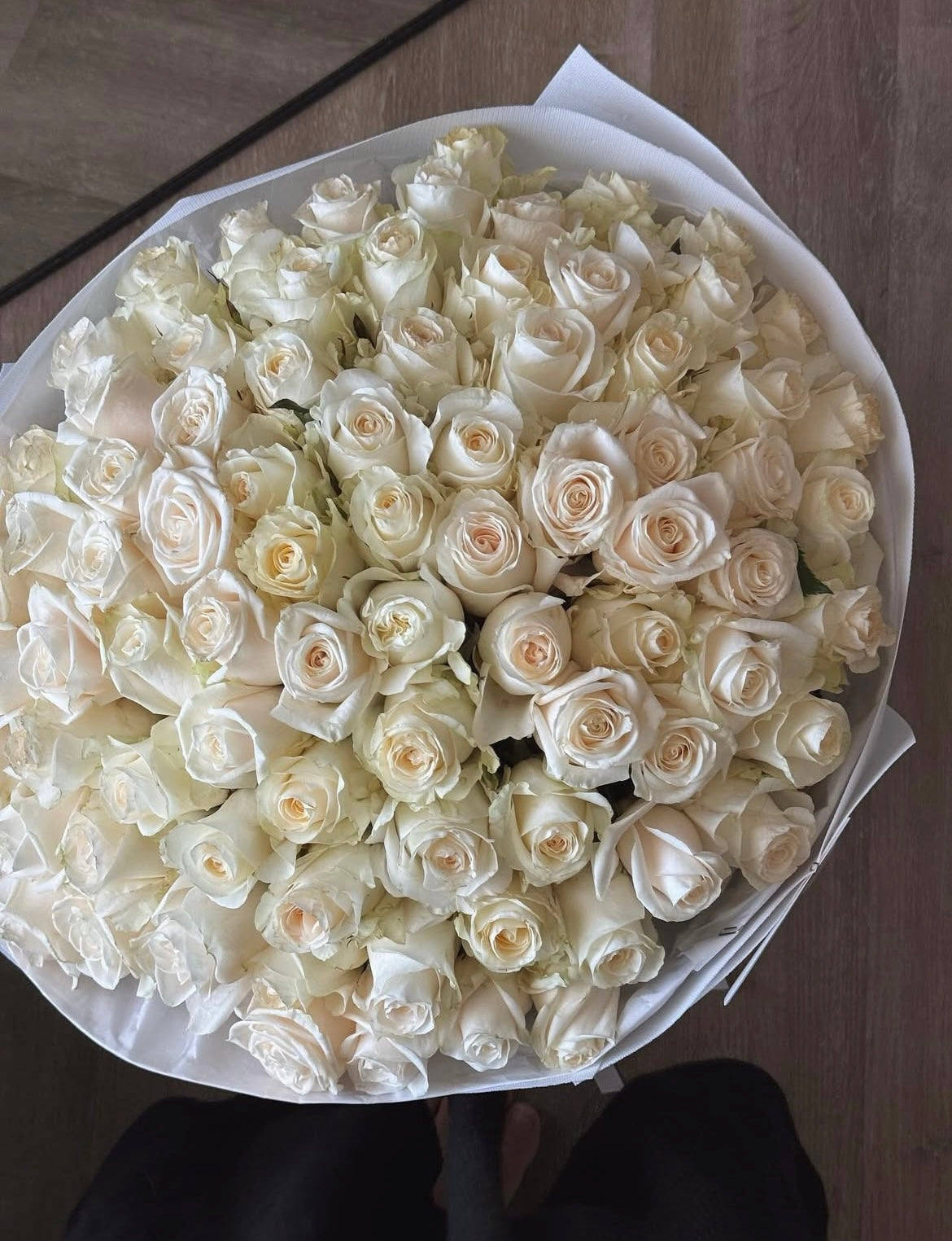 100 White Rose