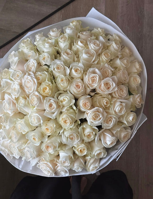 100 White Rose
