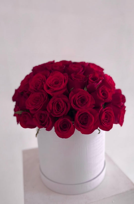 Raspberry-red roses in a white medium box (raspberry hue)