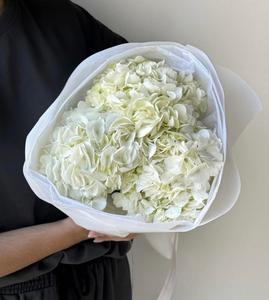 A bouquet of 3 white hydrangeas